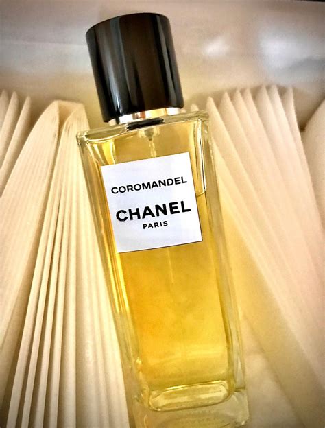 chanel coromandel ad|chanel unisex perfume price.